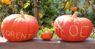 citrouilles