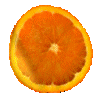 Un peu d'exotisme et fantaisie avec  un oranger, un mandarinier ou un citronnier